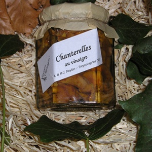 Chanterelles (120 gr.)
